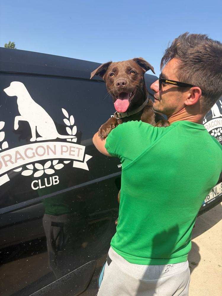 Equipa da Dragon Pet Club com um cão junto à viatura