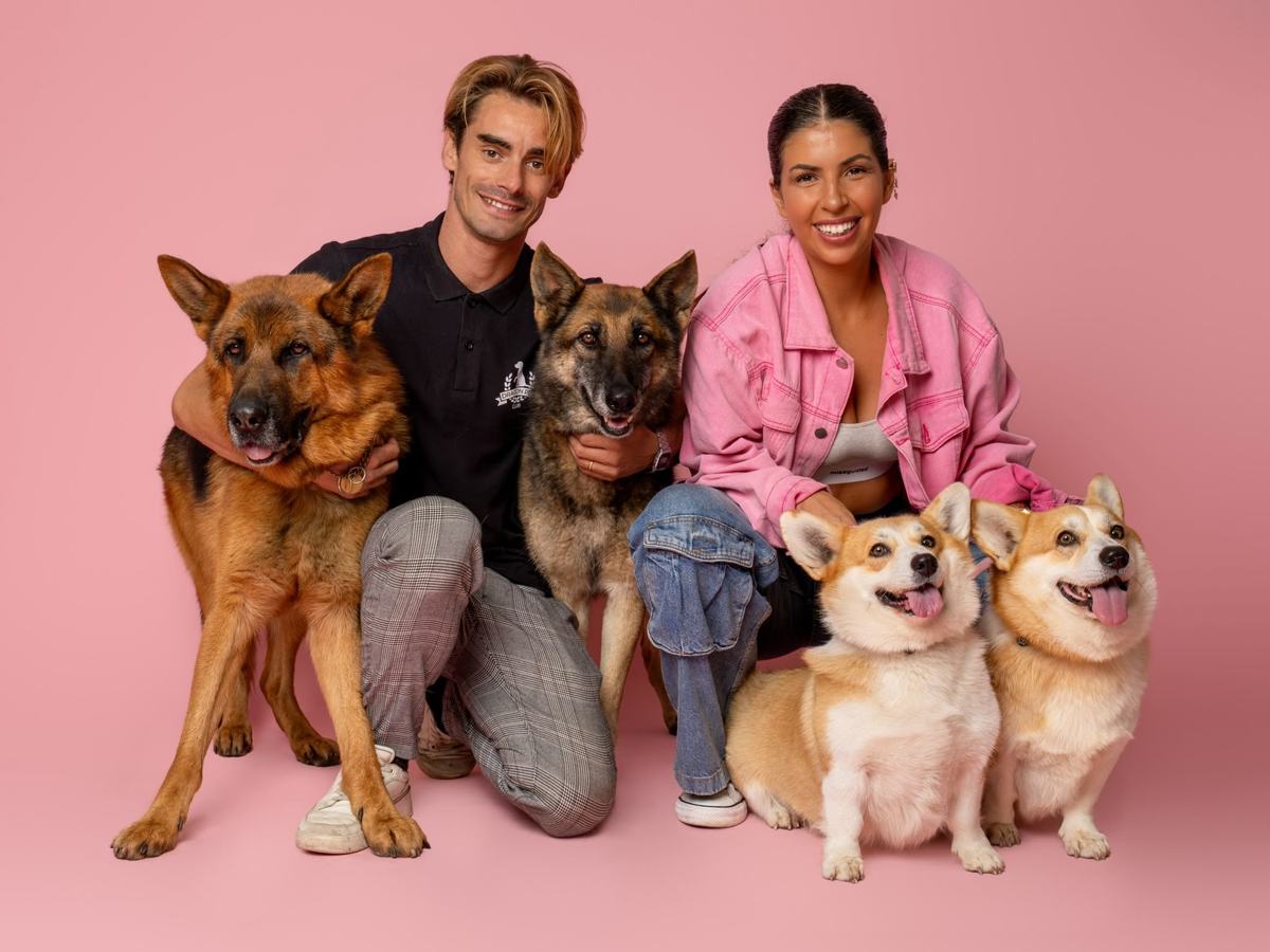 Cães a brincar numa área exterior da Dragon Pet Club