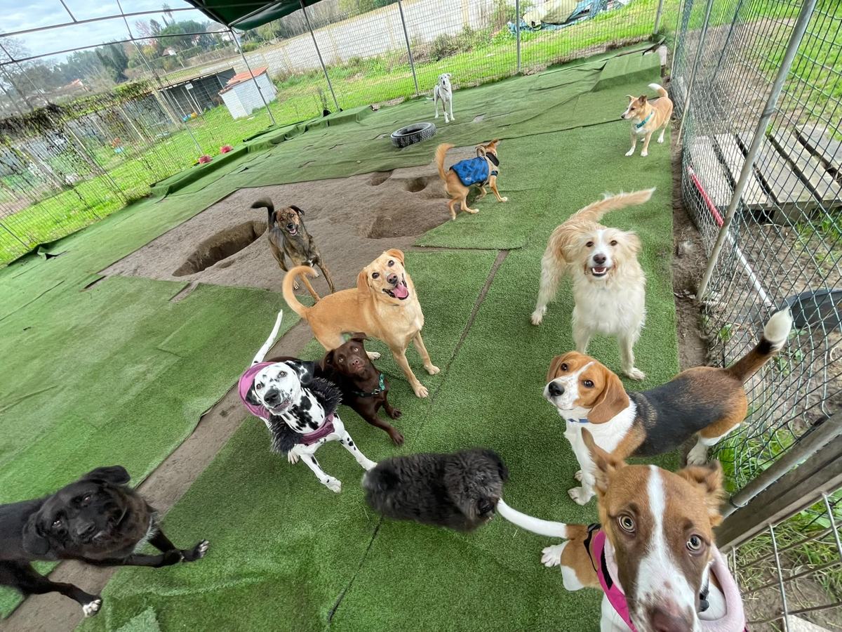 Um dia na creche