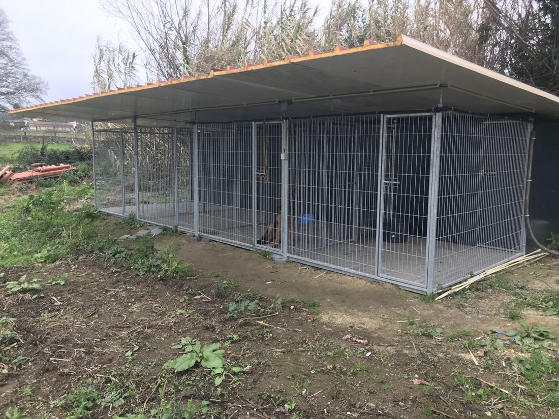 Vista exterior das boxes do hotel da Dragon Pet Club