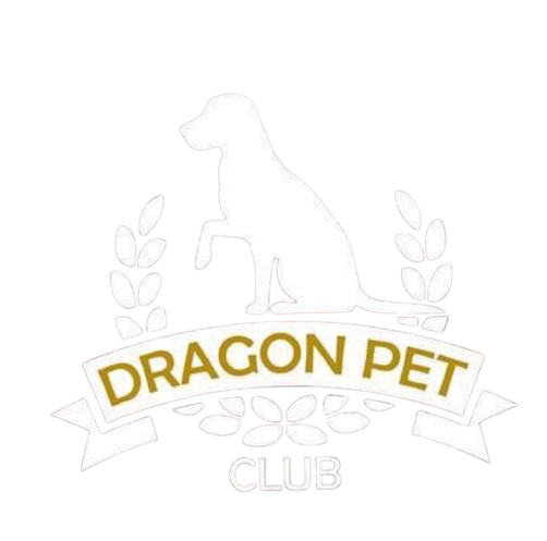 Dragon Pet Club
